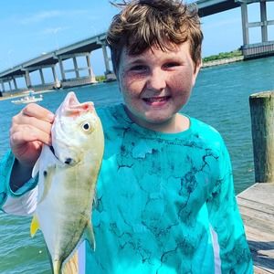 Meet your Posher, Cameron